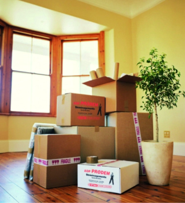 photo cartons empilés salon